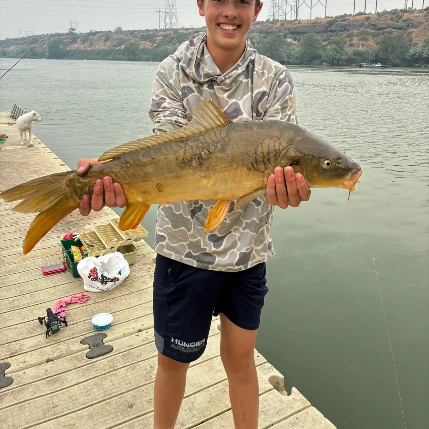 The most recent Mirror carp catches on Fishbrain
