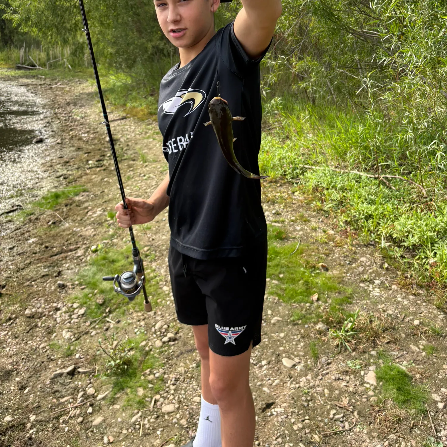 Black bullhead caught on Fishbrain
