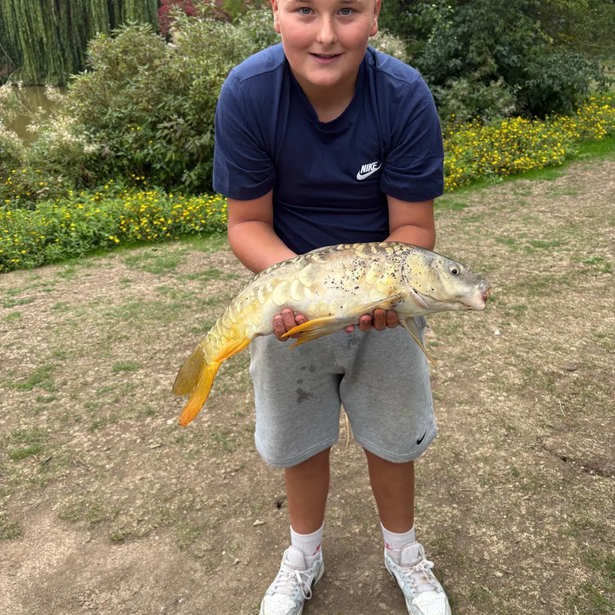 Mirror carp caught on Fishbrain