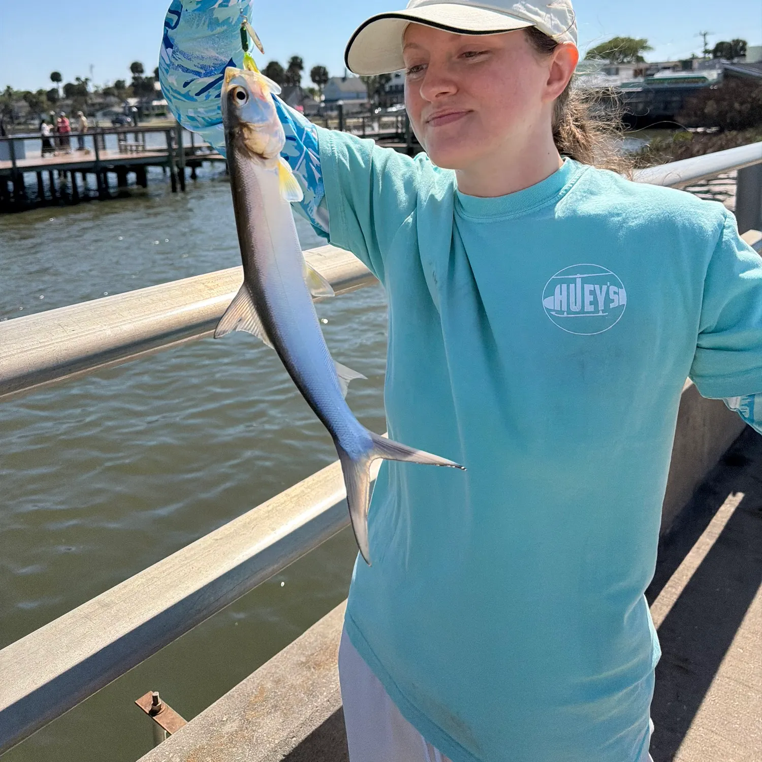 The most recent Ladyfish catches on Fishbrain