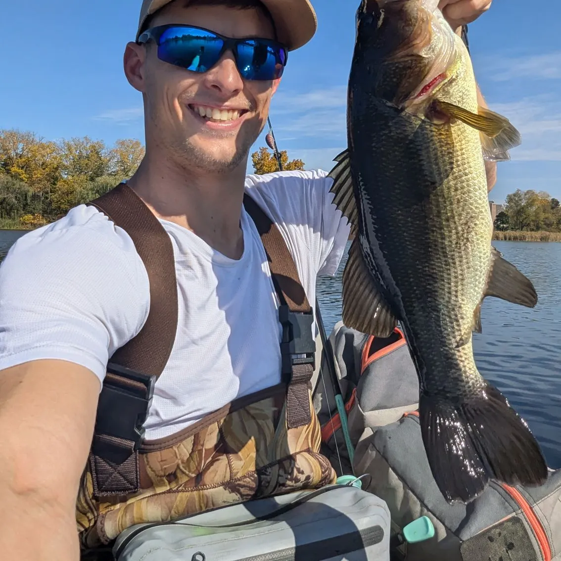 Largemouth bass caught on Fishbrain