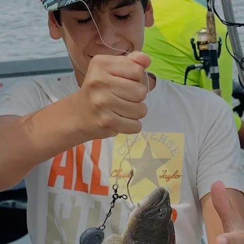 Summer flounder caught on Fishbrain