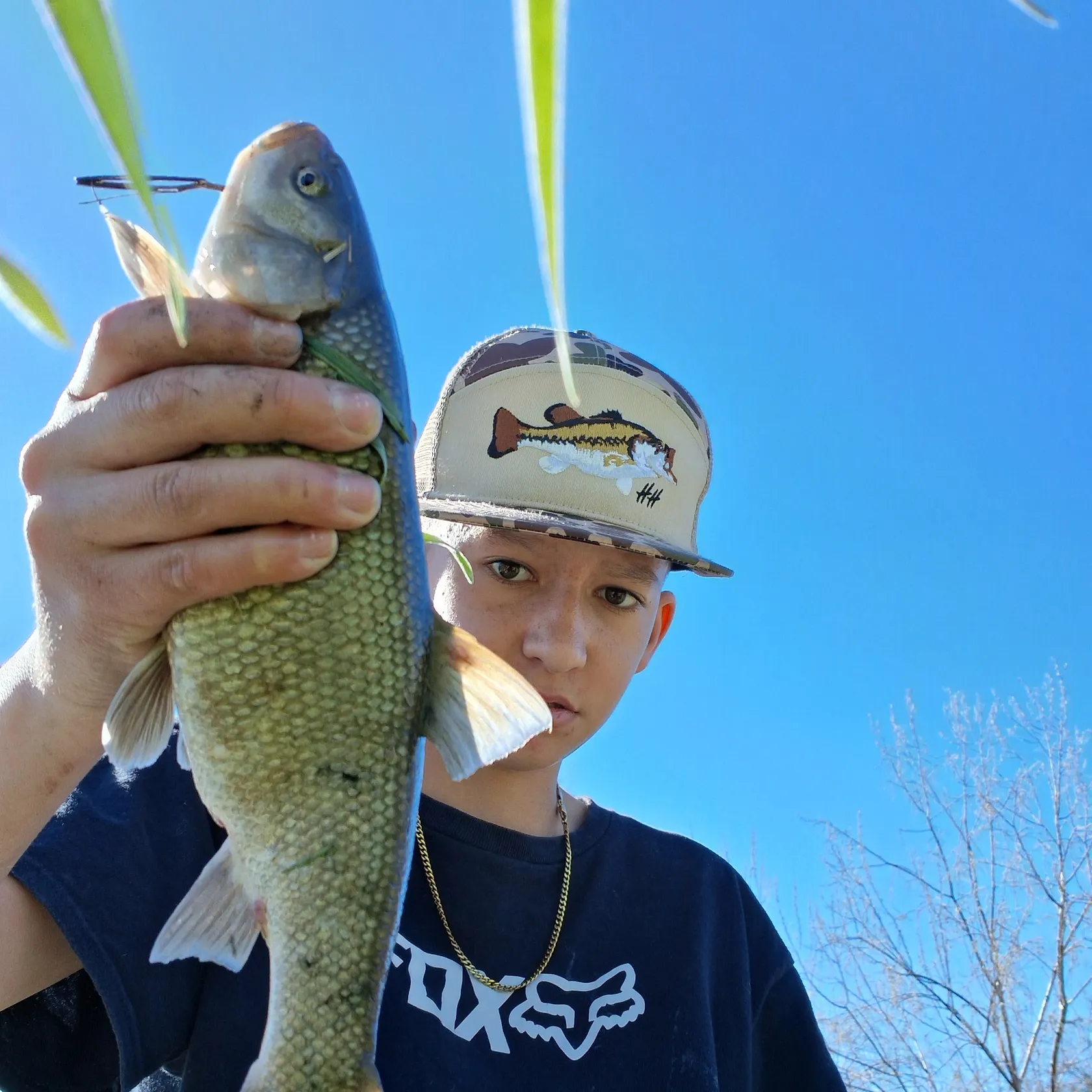 The most recent Utah chub catches on Fishbrain