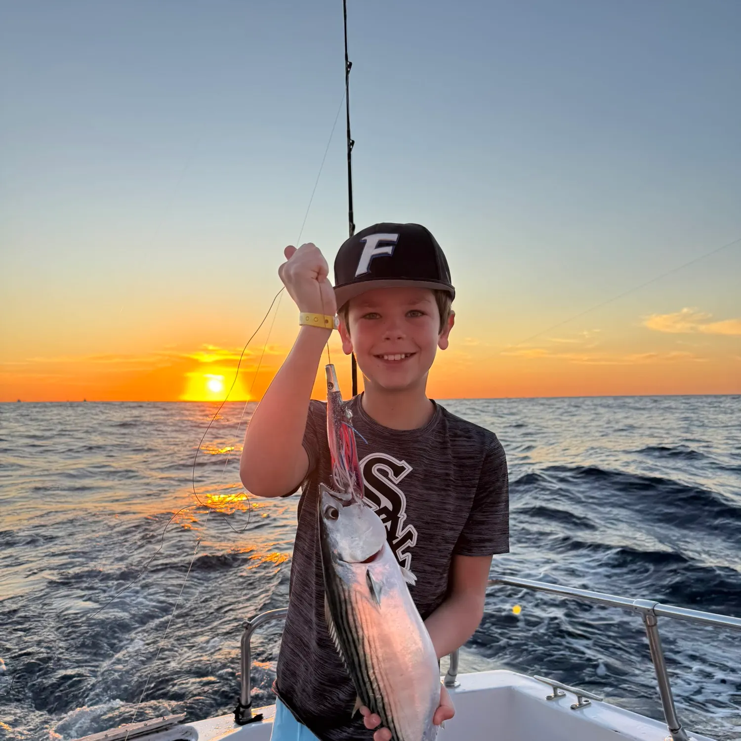 The most recent Eastern Pacific bonito catches on Fishbrain