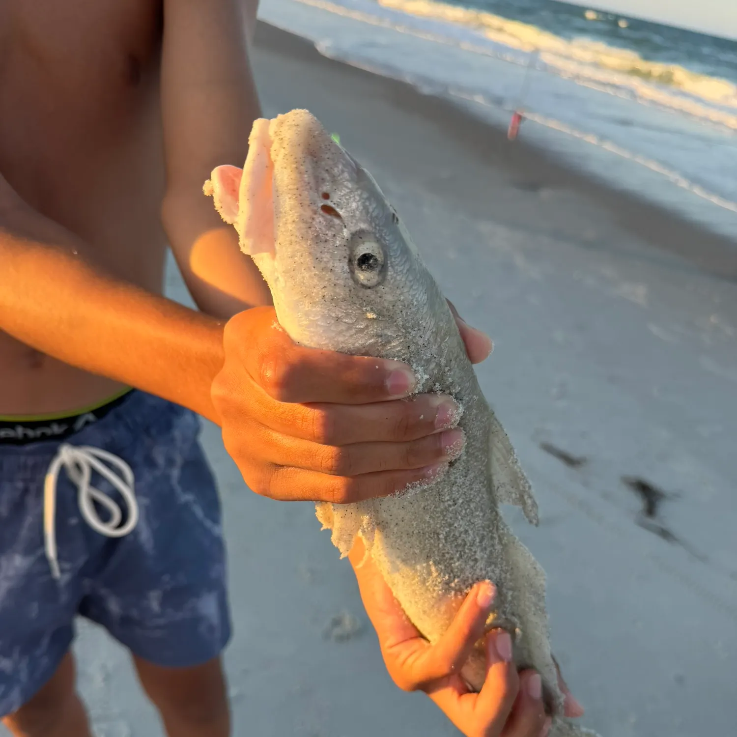 catch