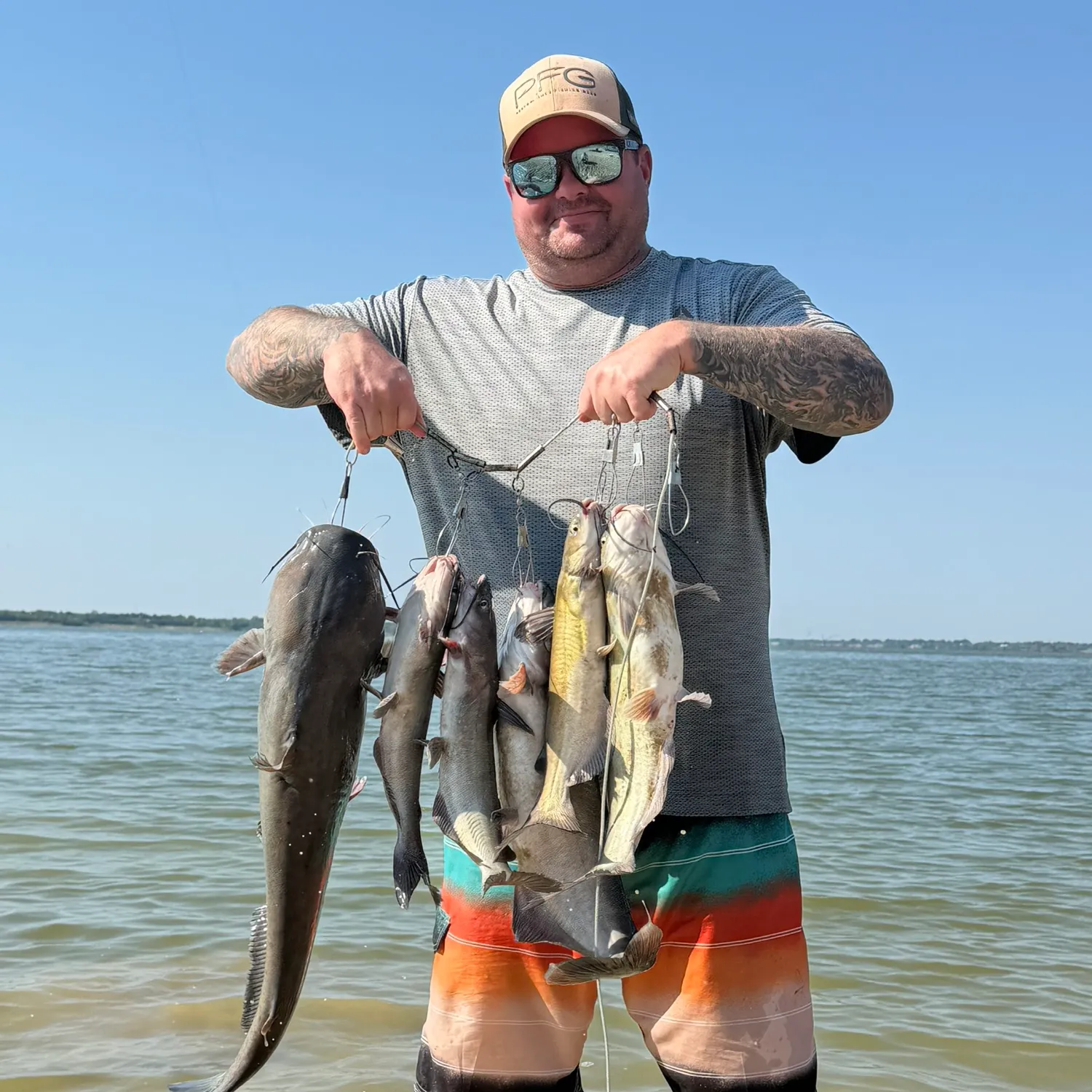 Blue catfish caught on Fishbrain