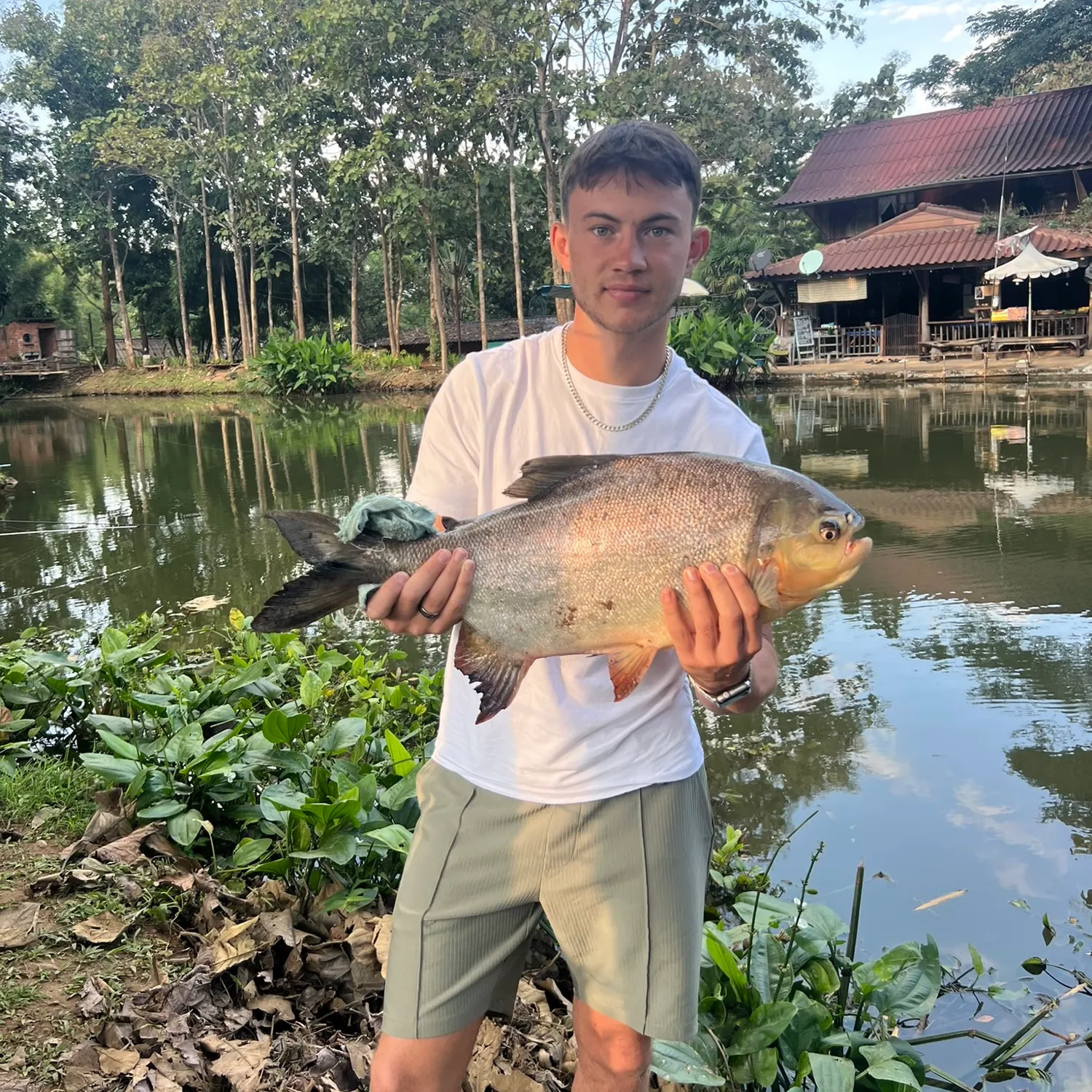 most liked catch image