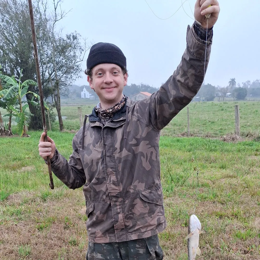 The most recent Trahira catches on Fishbrain