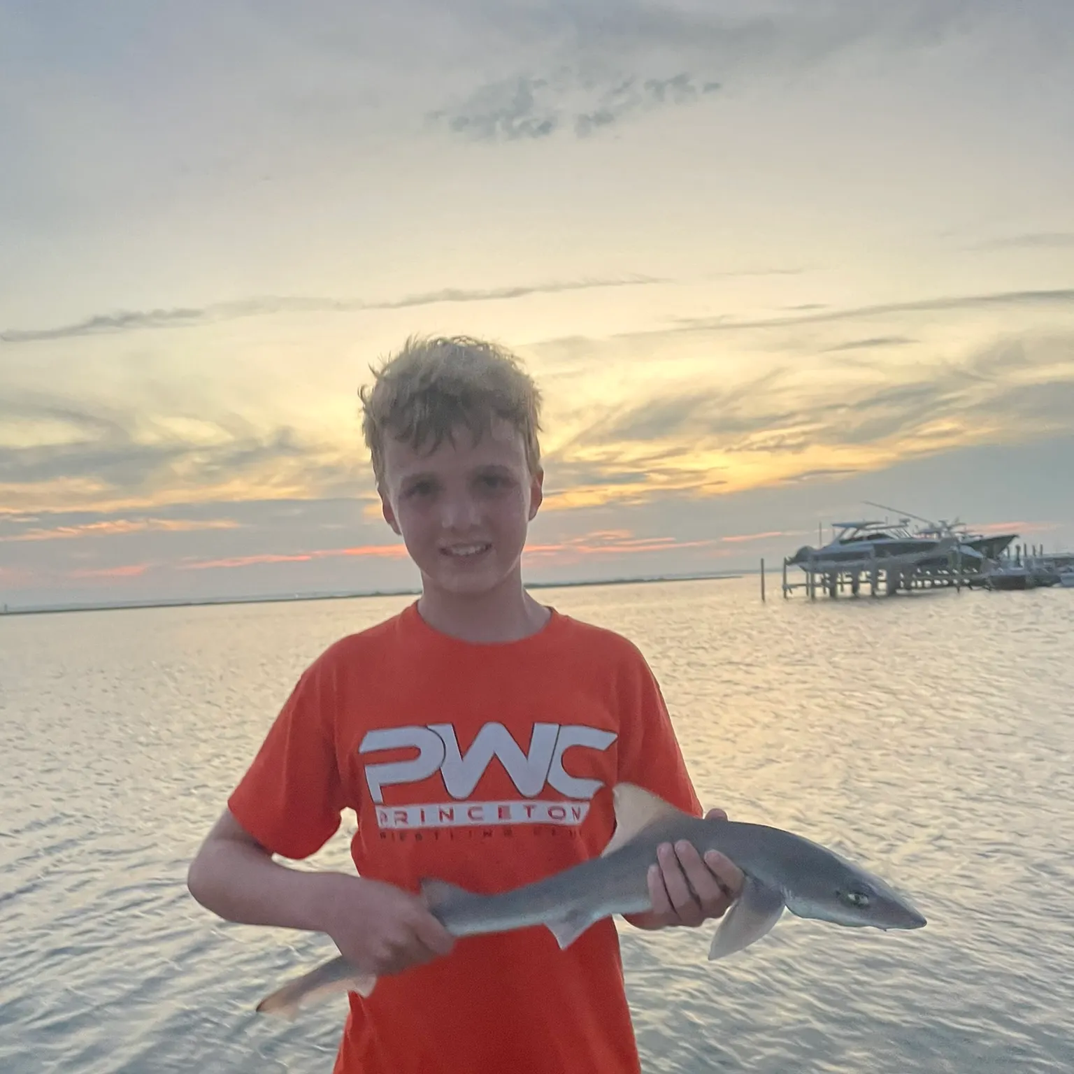 The most recent Dusky smooth-hound catches on Fishbrain