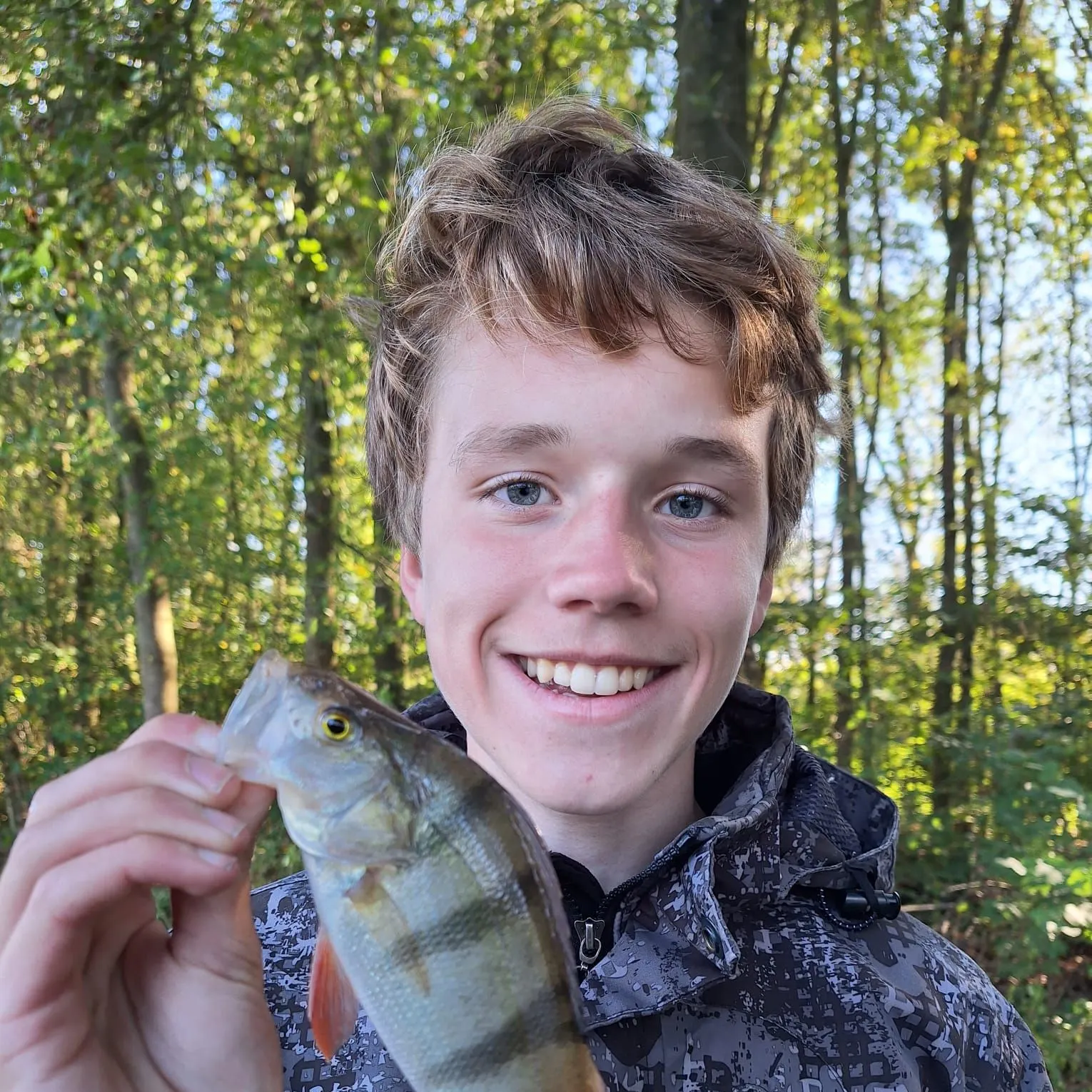 European perch caught on Fishbrain