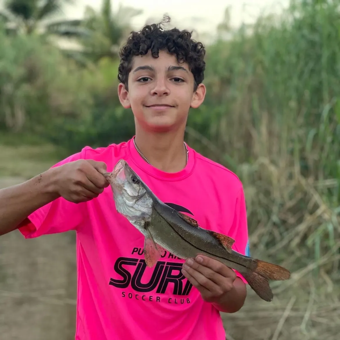 The most recent Common snook catches on Fishbrain