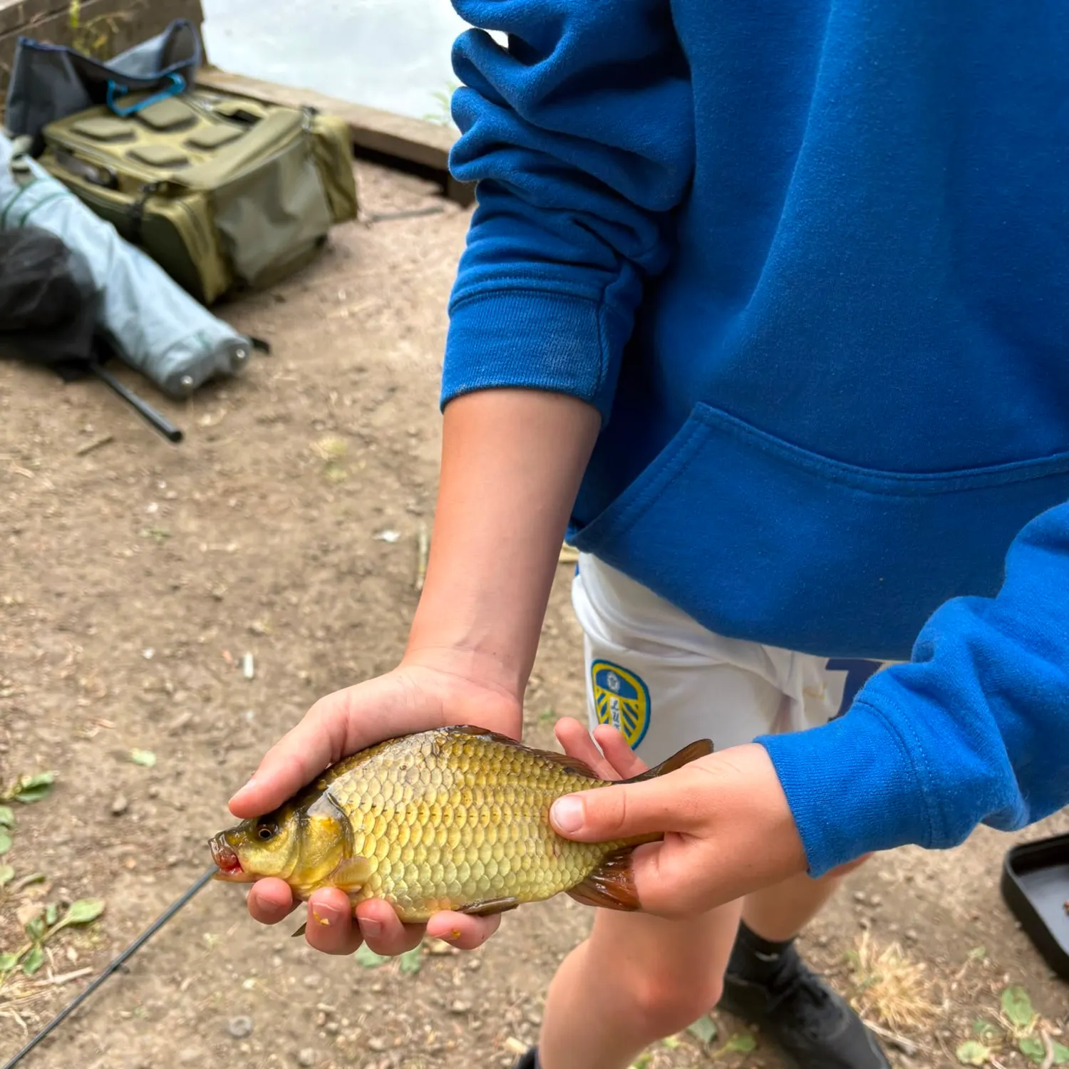 The most recent Crucian carp catches on Fishbrain