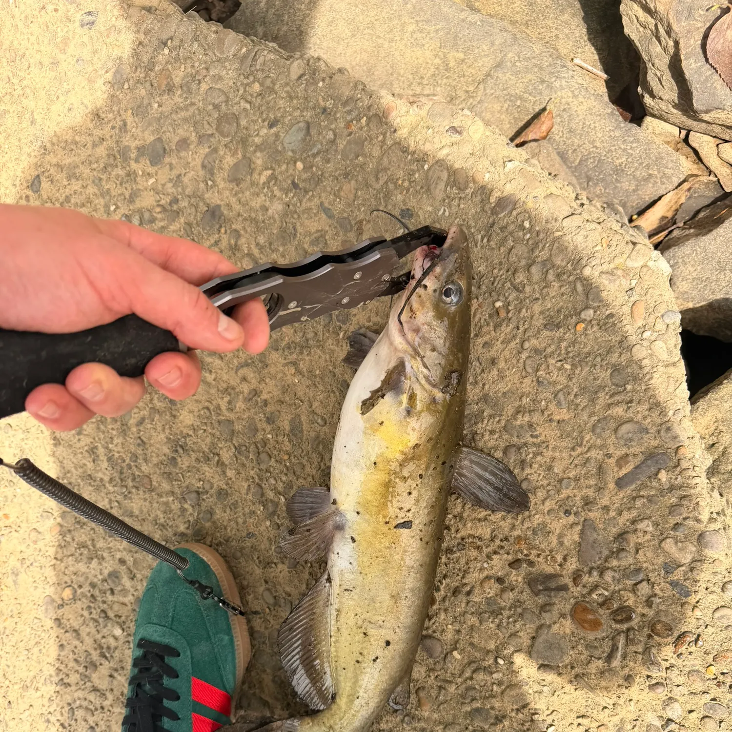 catch