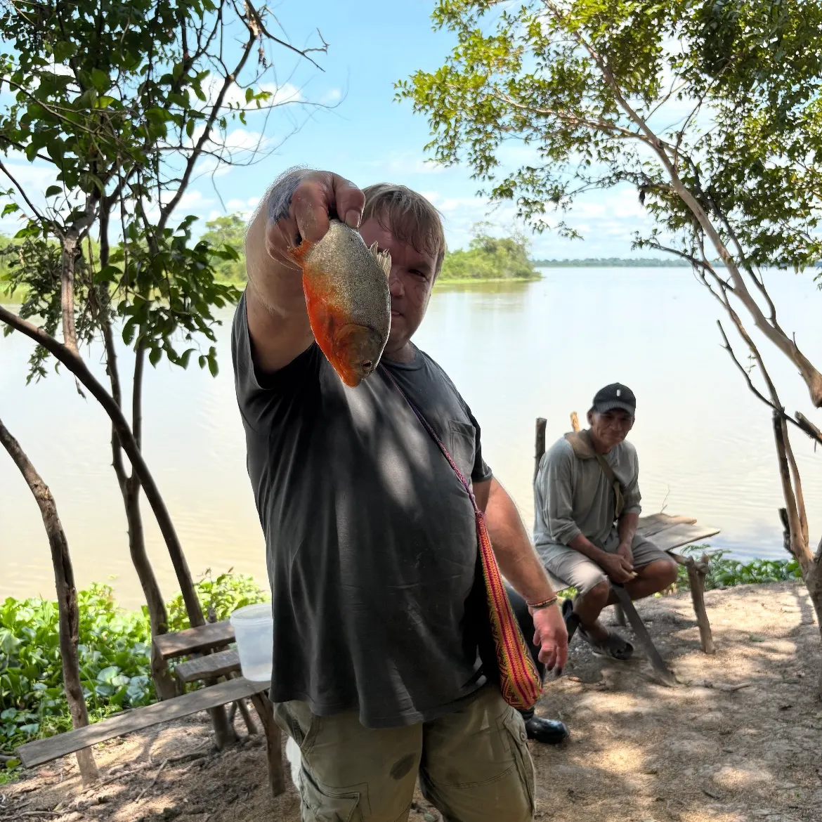 The most recent Red-bellied piranha catches on Fishbrain