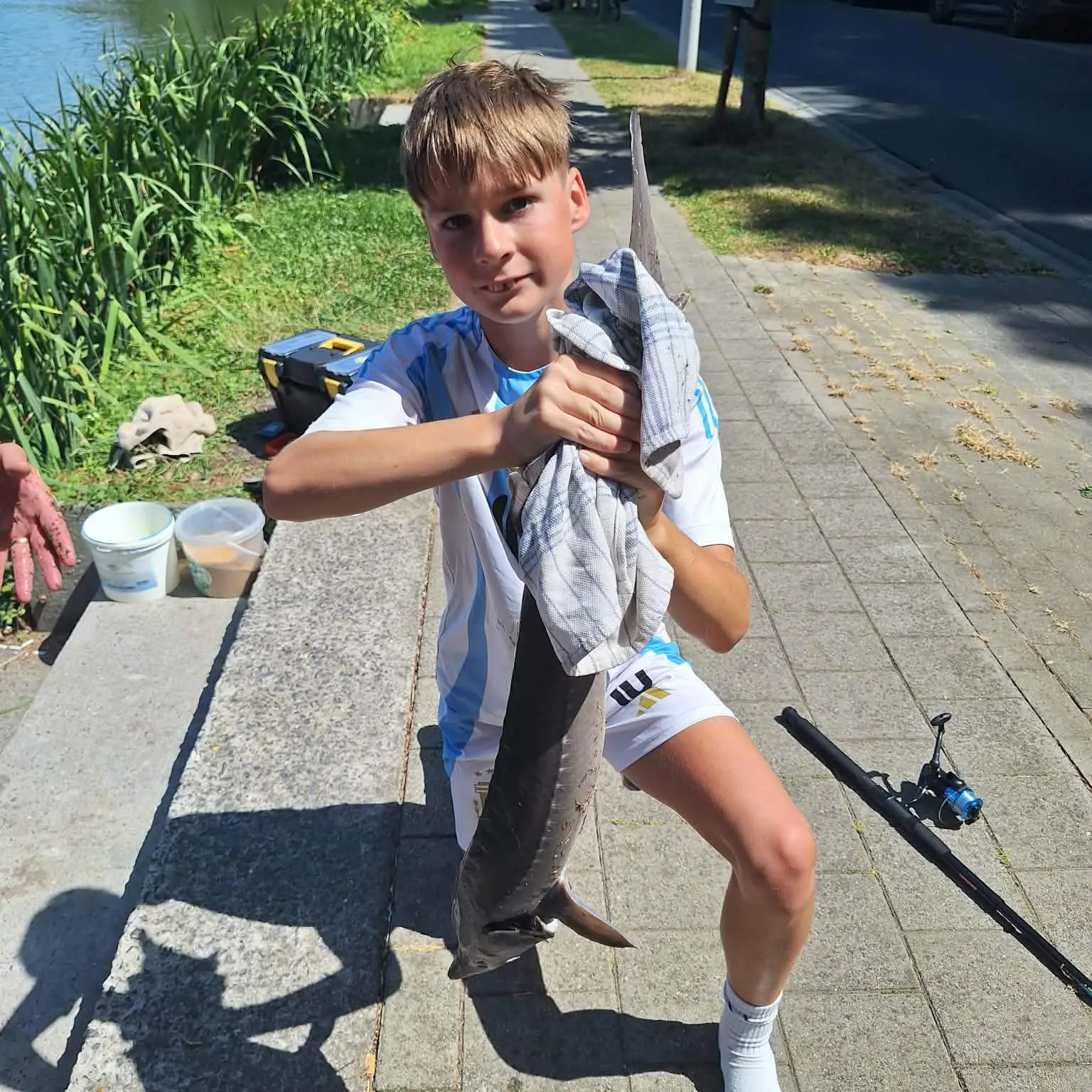 White sturgeon caught on Fishbrain