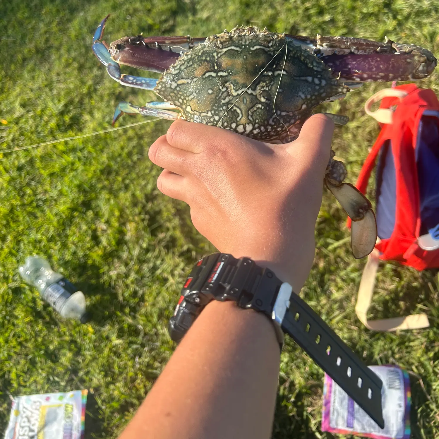 Fish caught on Fishbrain