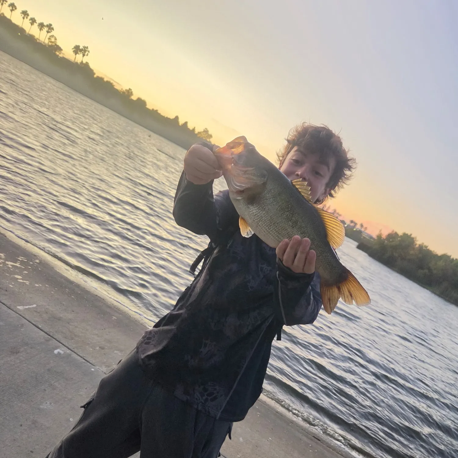 Largemouth bass caught on Fishbrain