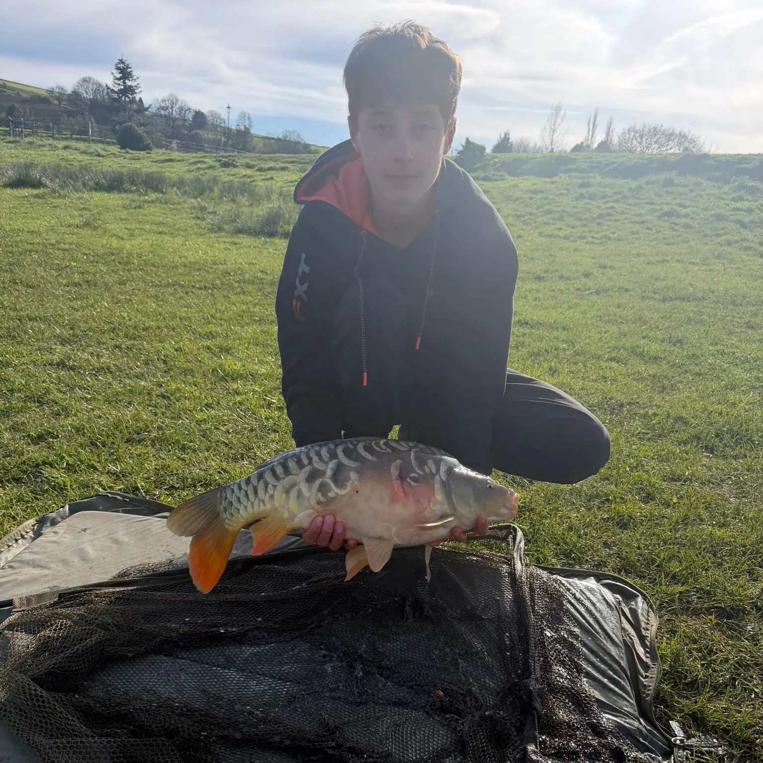 Mirror carp caught on Fishbrain