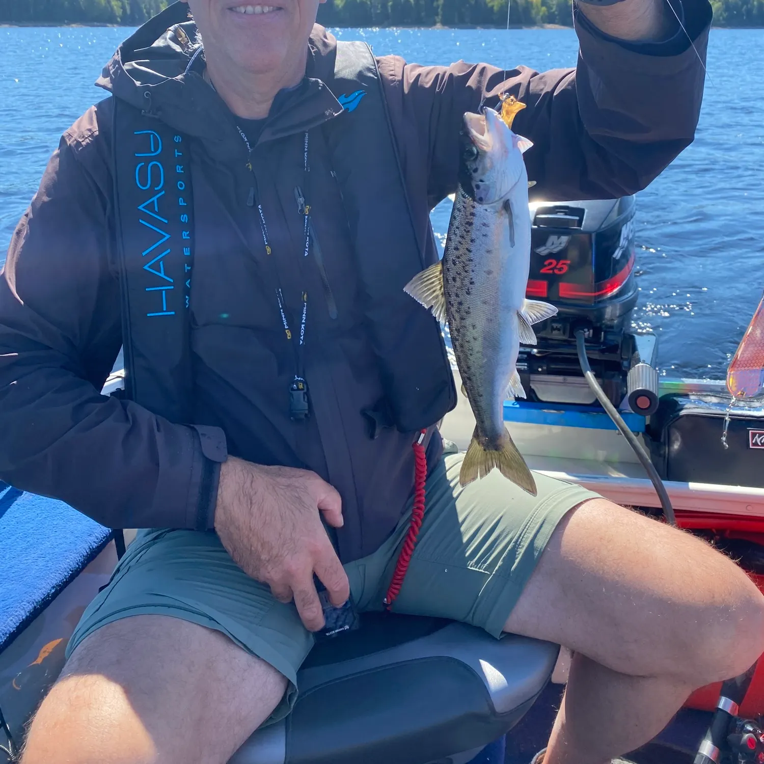 Landlocked atlantic salmon caught on Fishbrain