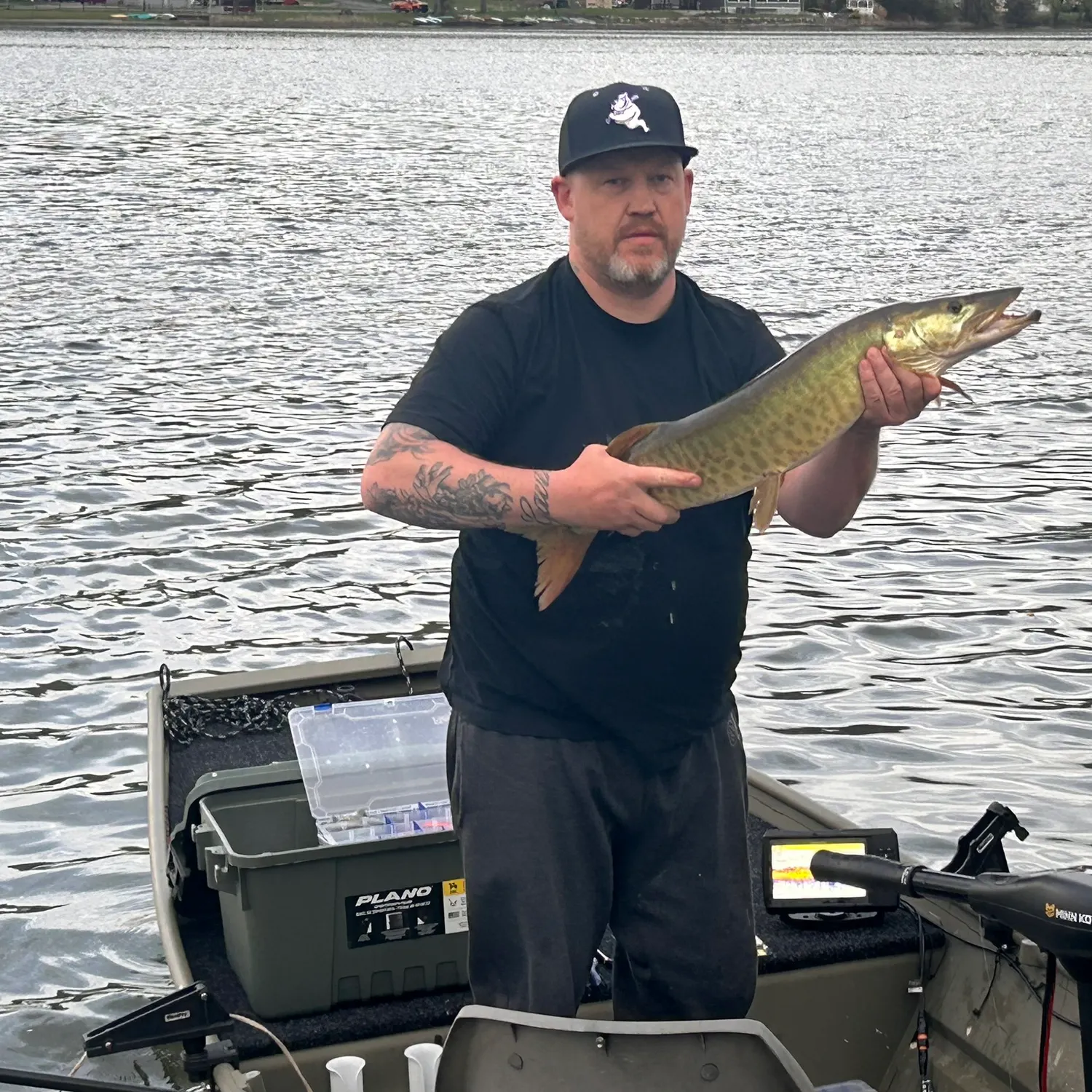 The most recent Muskellunge catches on Fishbrain