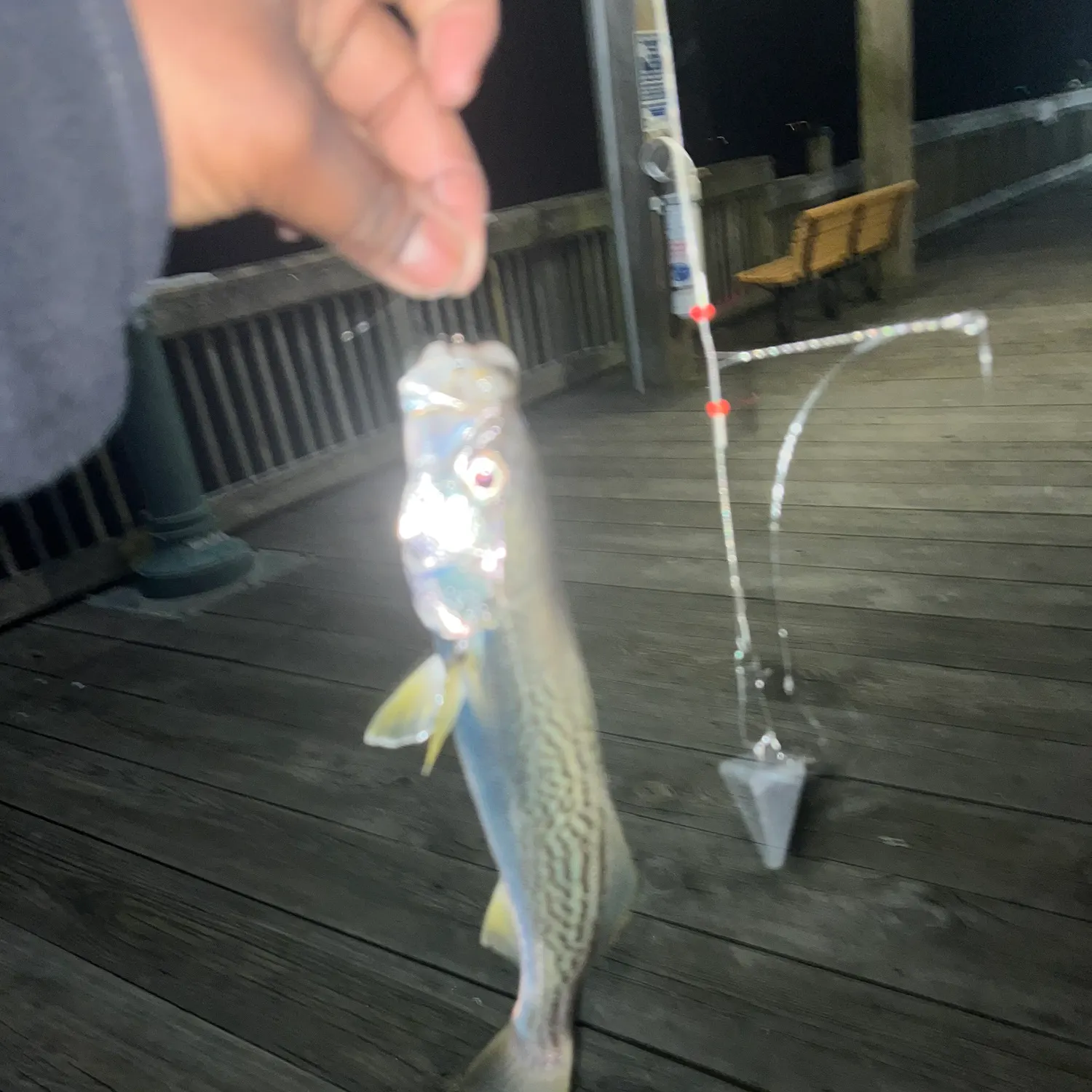 most liked catch image