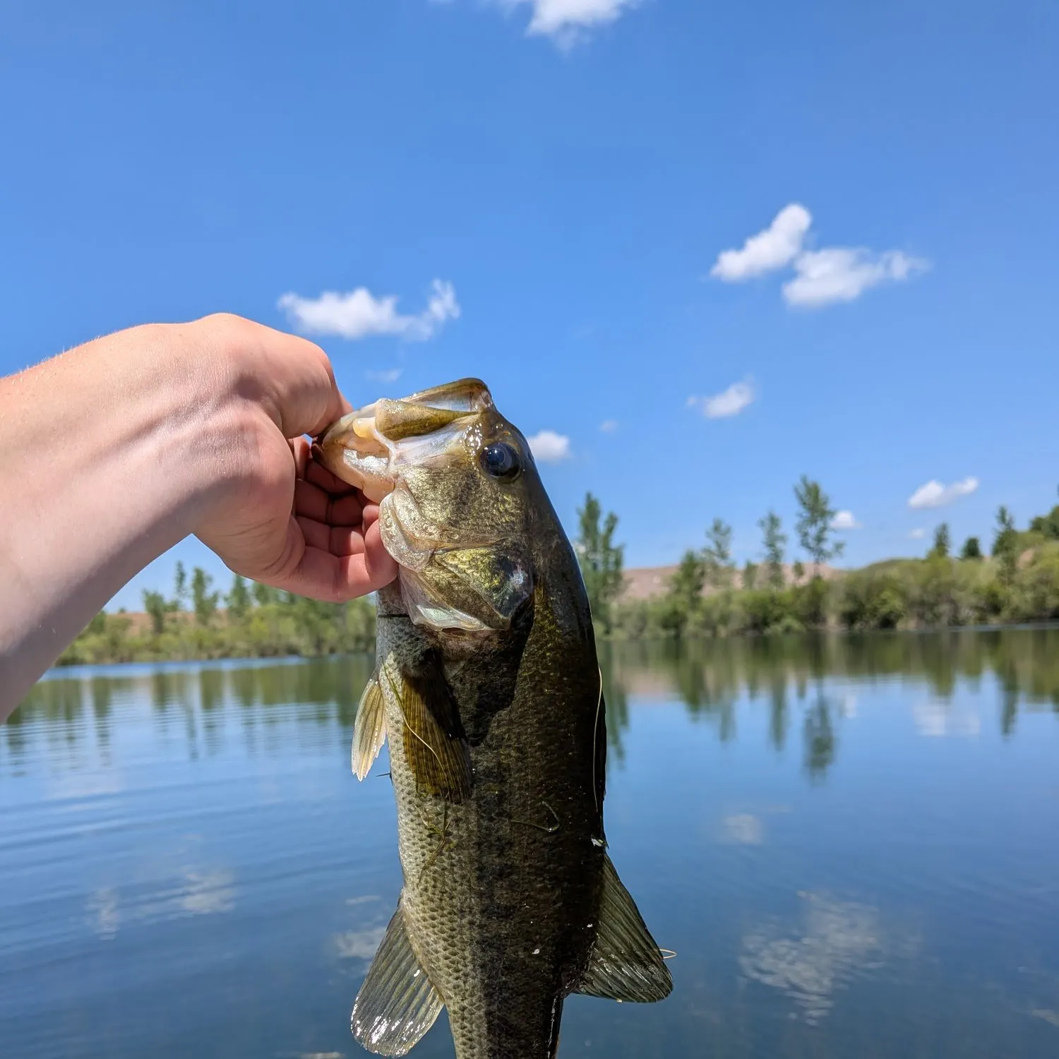 angler catch