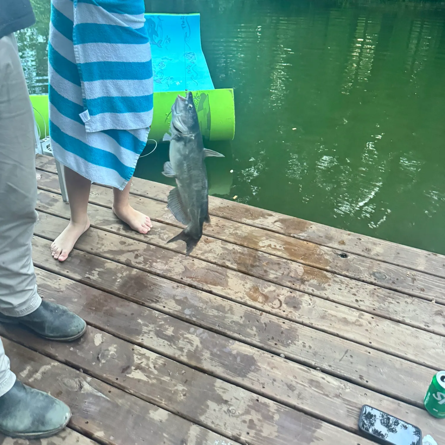 The most recent Channel catfish catches on Fishbrain