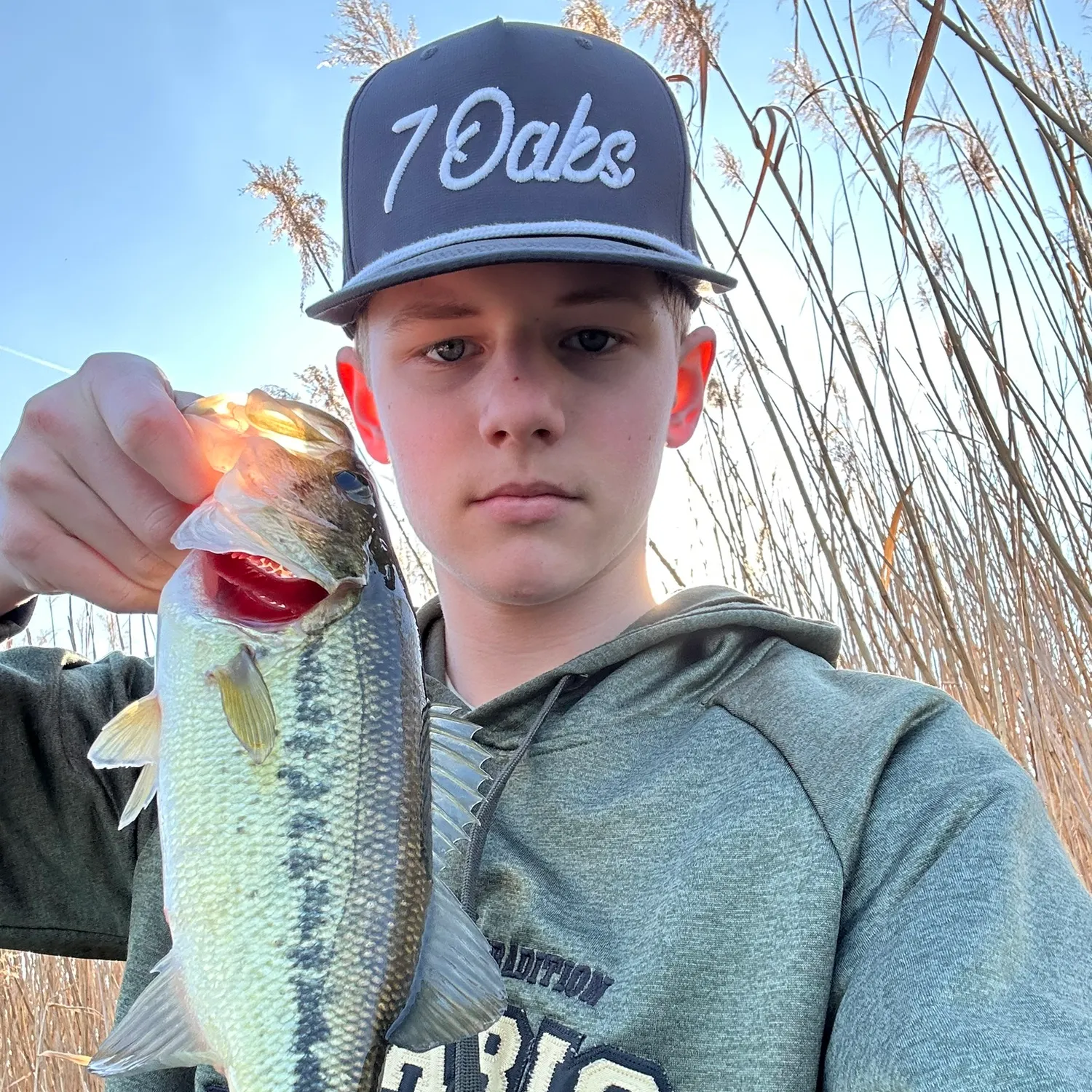 The most recent Largemouth bass catches on Fishbrain