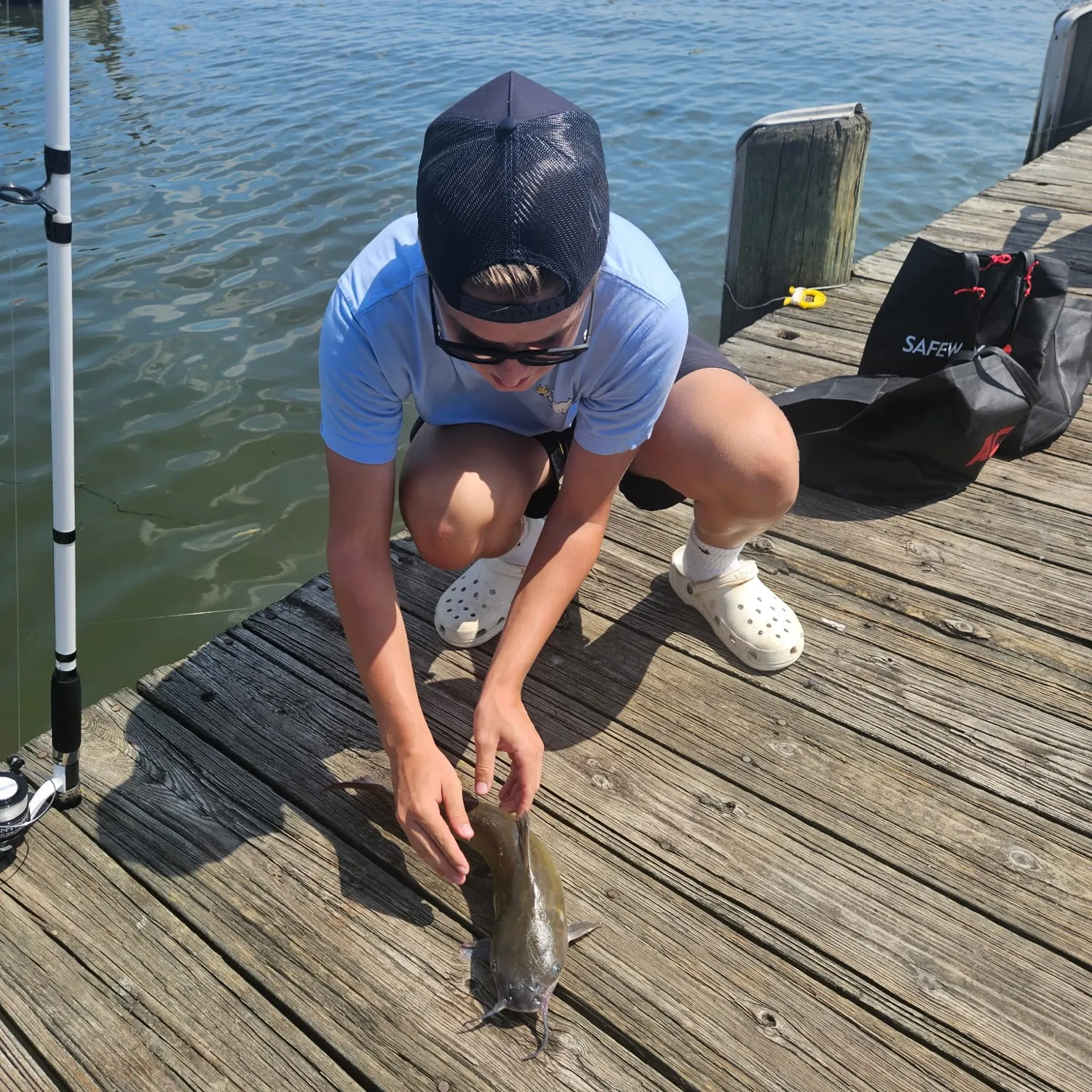 Channel catfish caught on Fishbrain