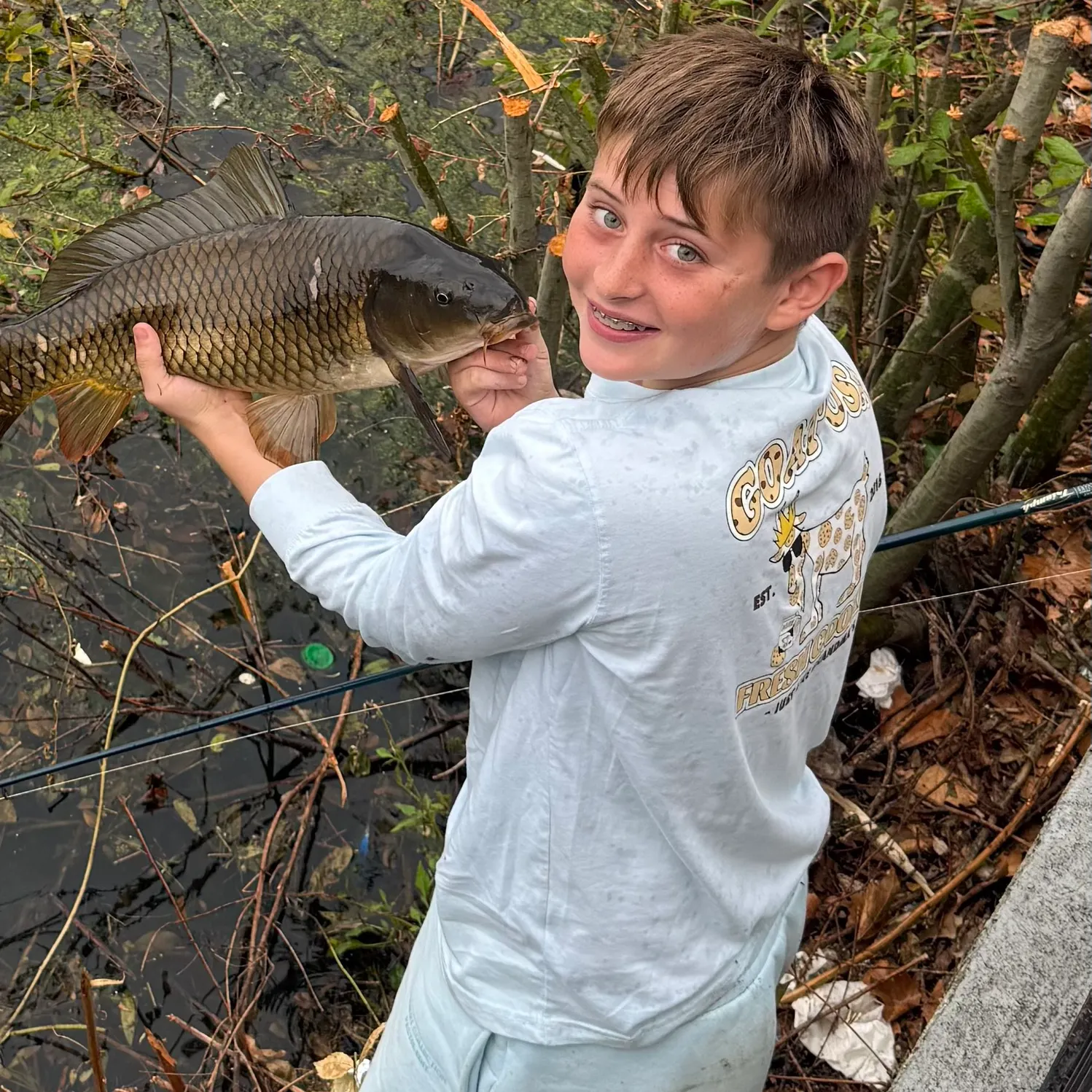 Common carp caught on Fishbrain