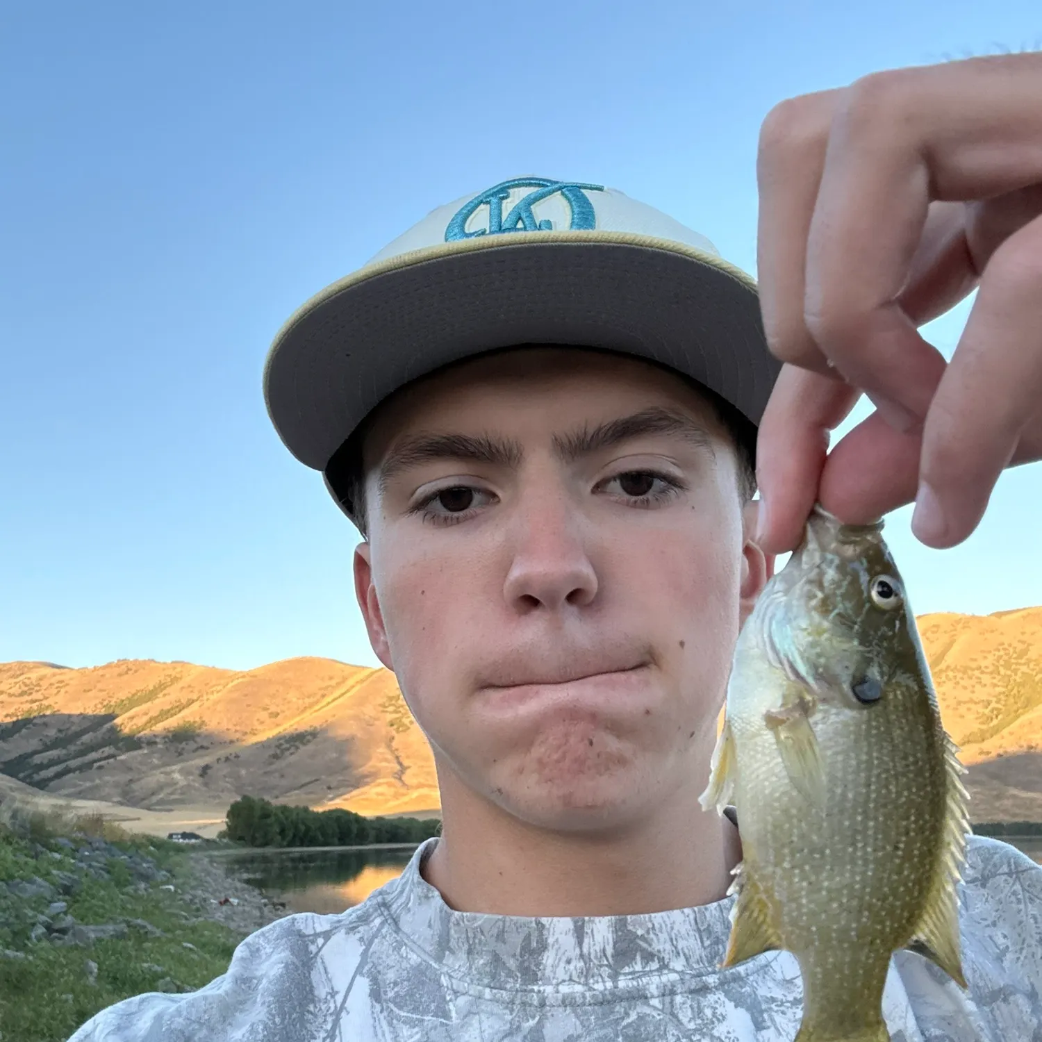 Greengill hybrid caught on Fishbrain