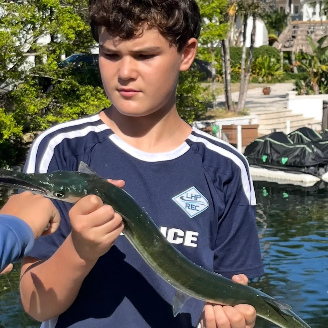 The most recent Hound needlefish catches on Fishbrain