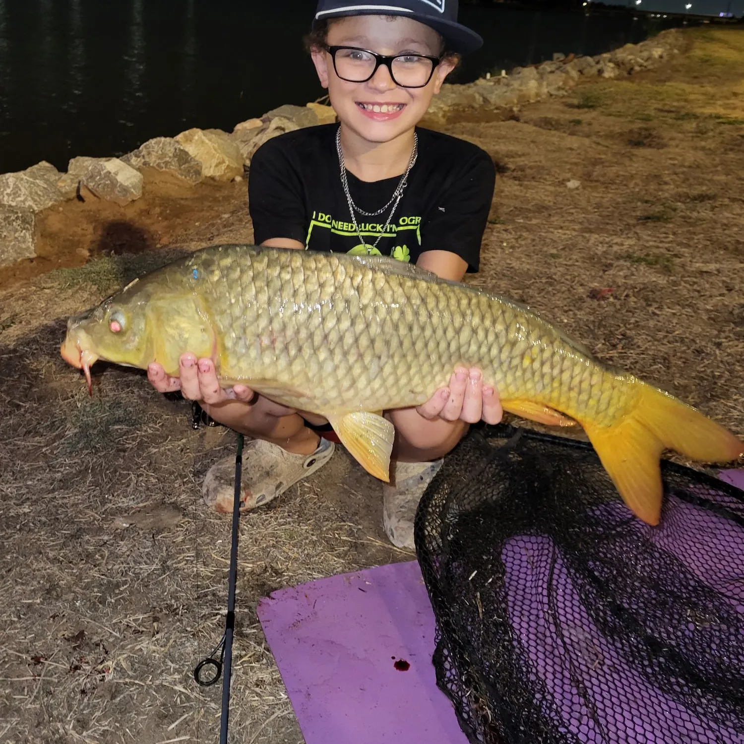 Common carp caught on Fishbrain