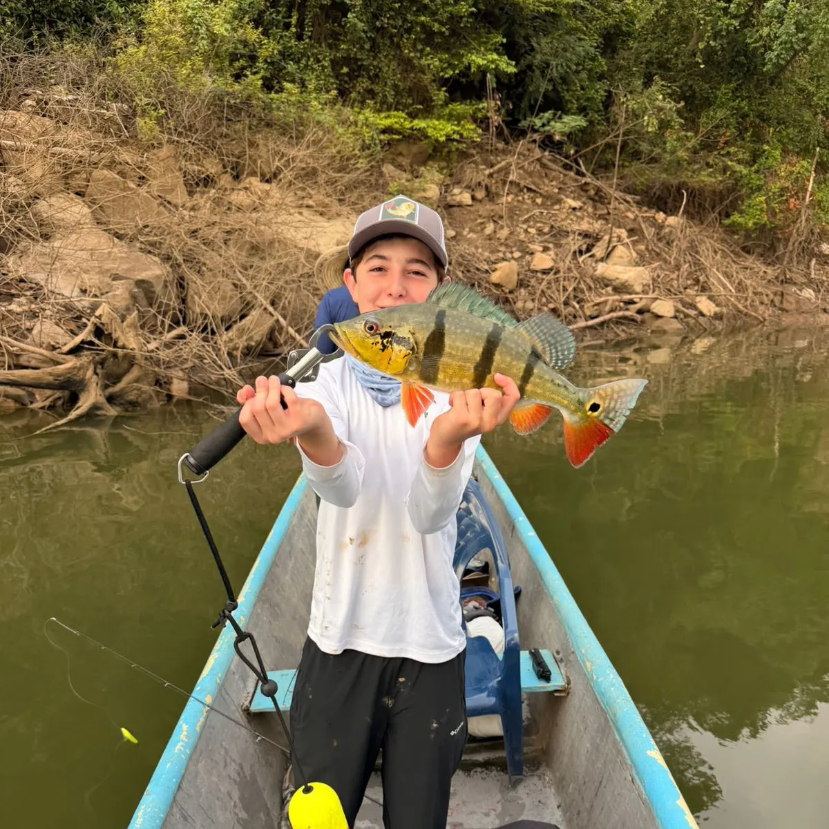 The most recent Speckled peacock bass catches on Fishbrain