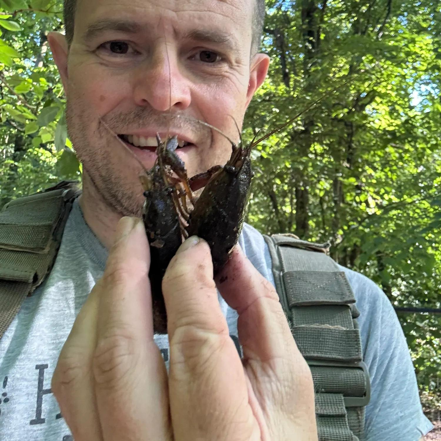 The most recent Red swamp crayfish catches on Fishbrain