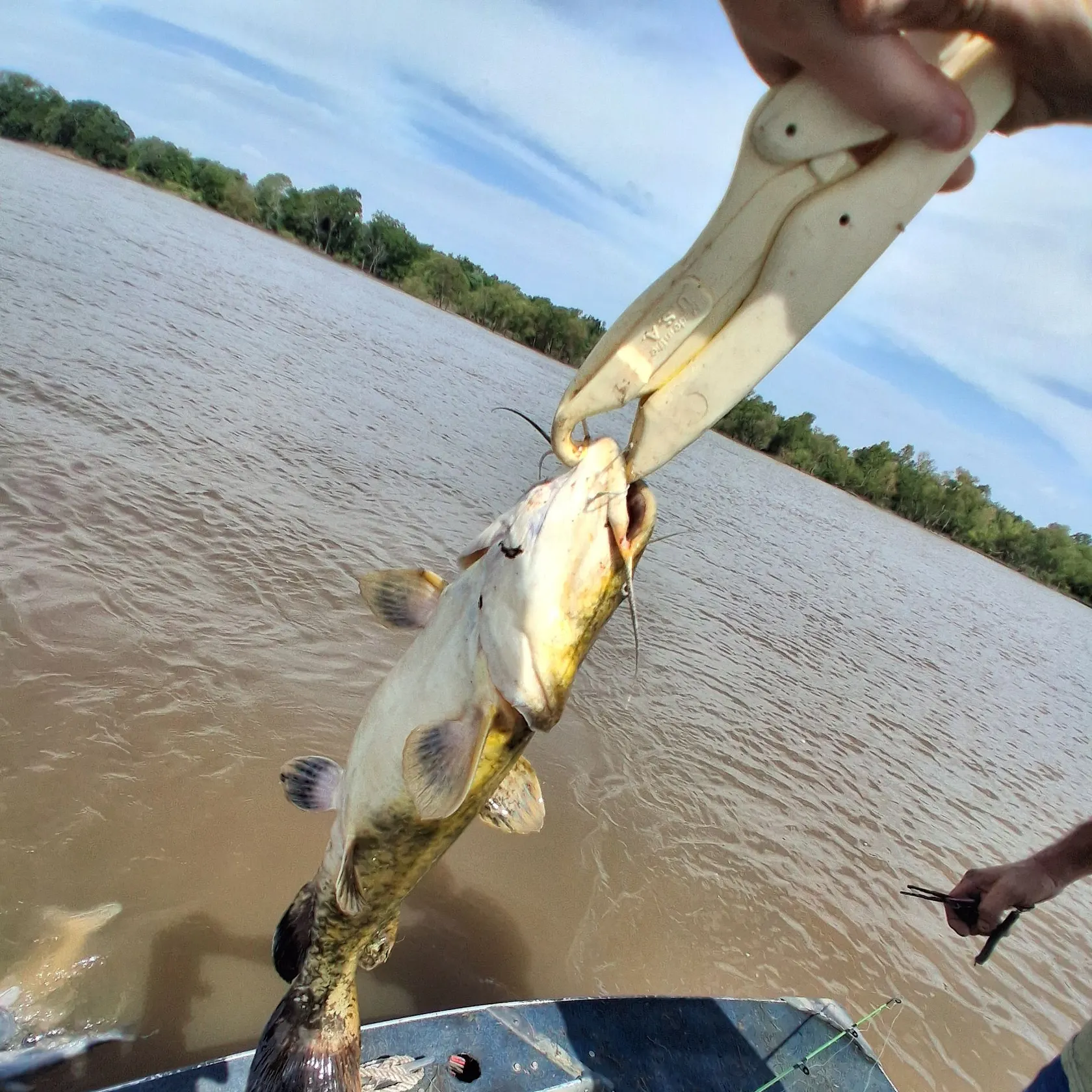 catch