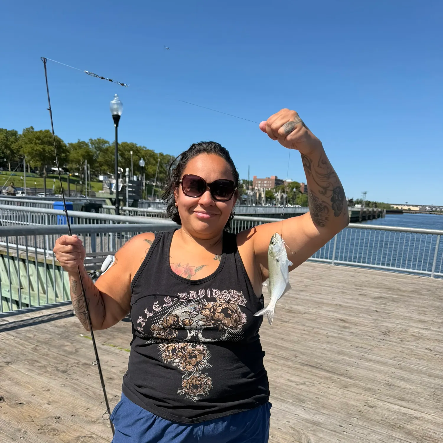 Bluefish caught on Fishbrain