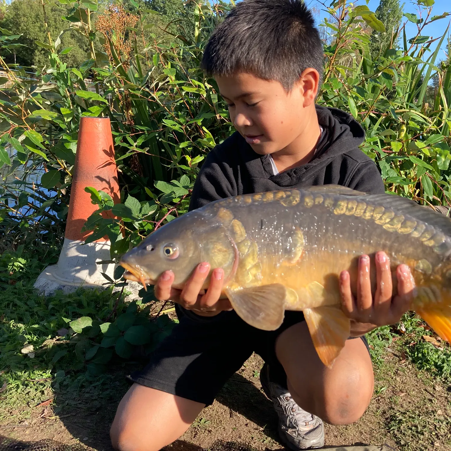 Mirror carp caught on Fishbrain