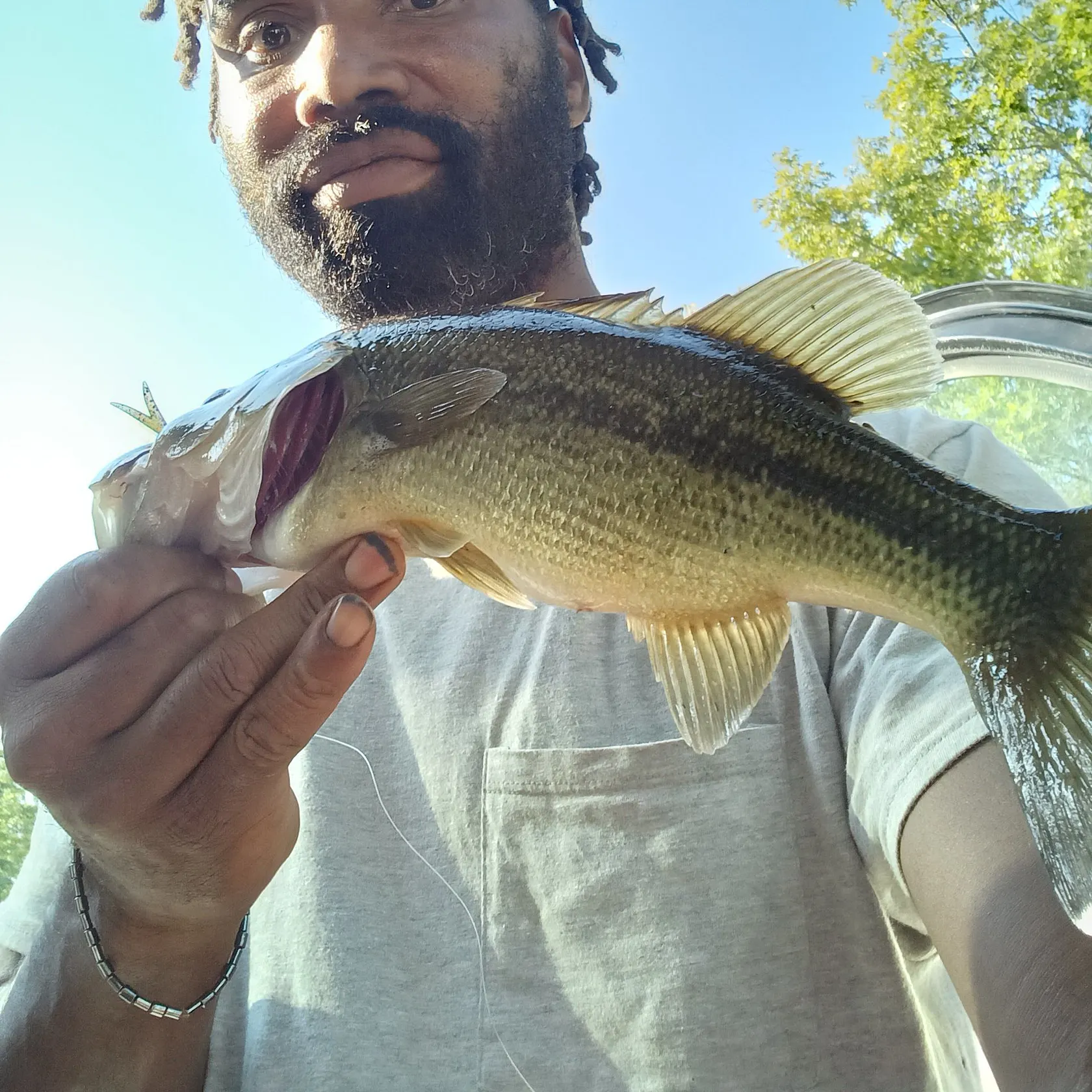 Largemouth bass caught on Fishbrain