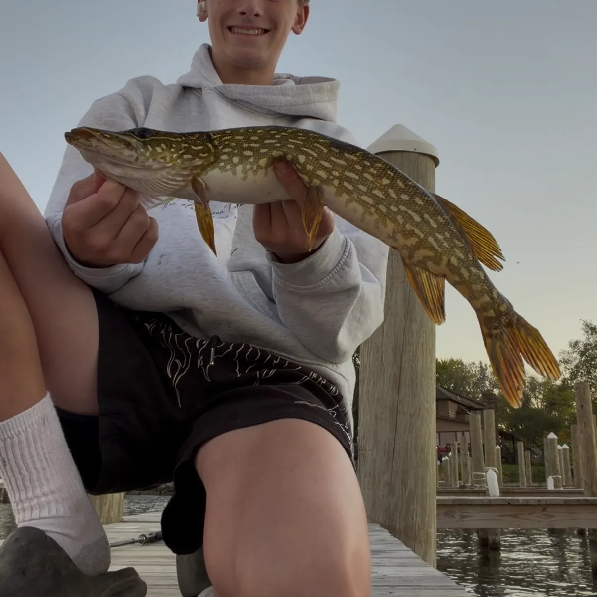 Northern pike caught on Fishbrain