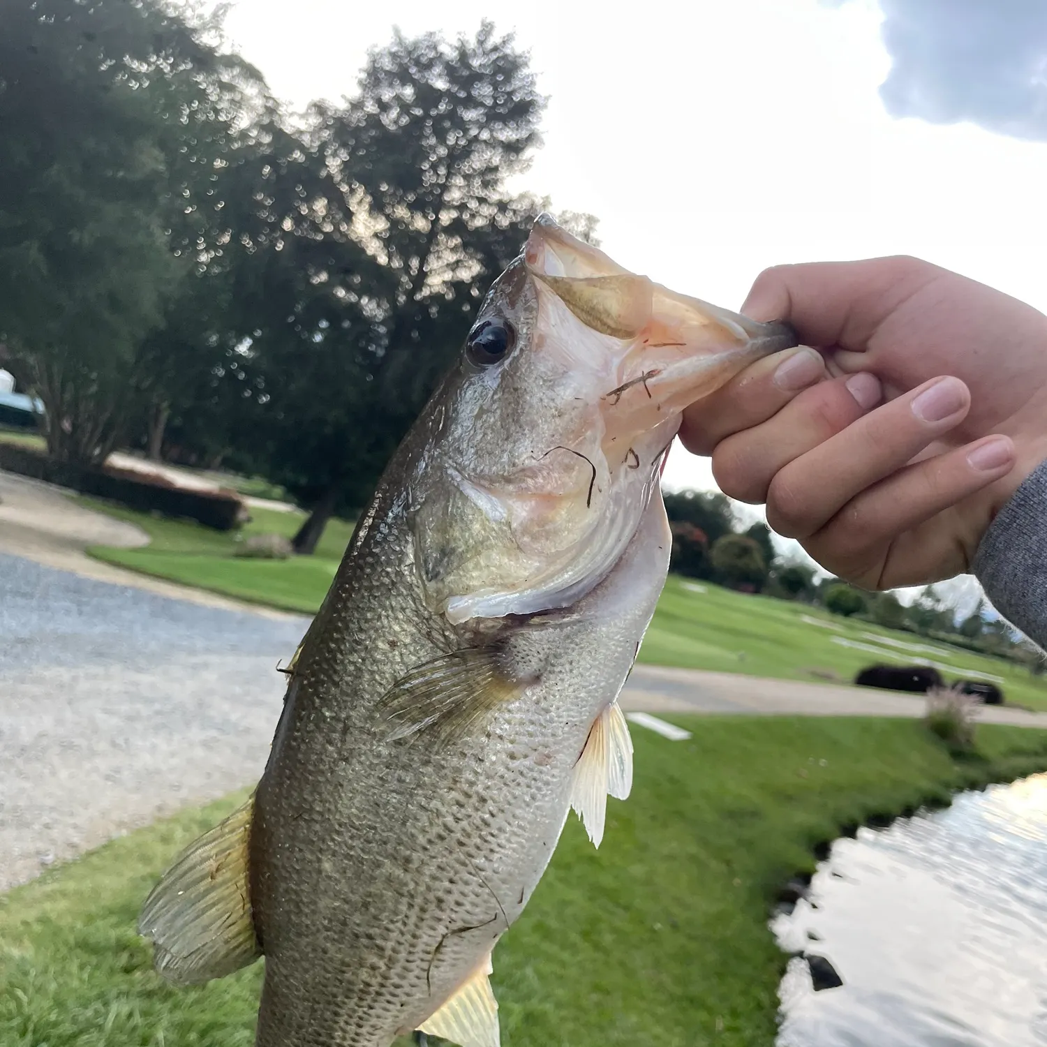 catch