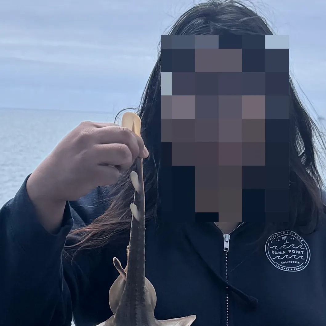 The most recent Thornback ray catches on Fishbrain