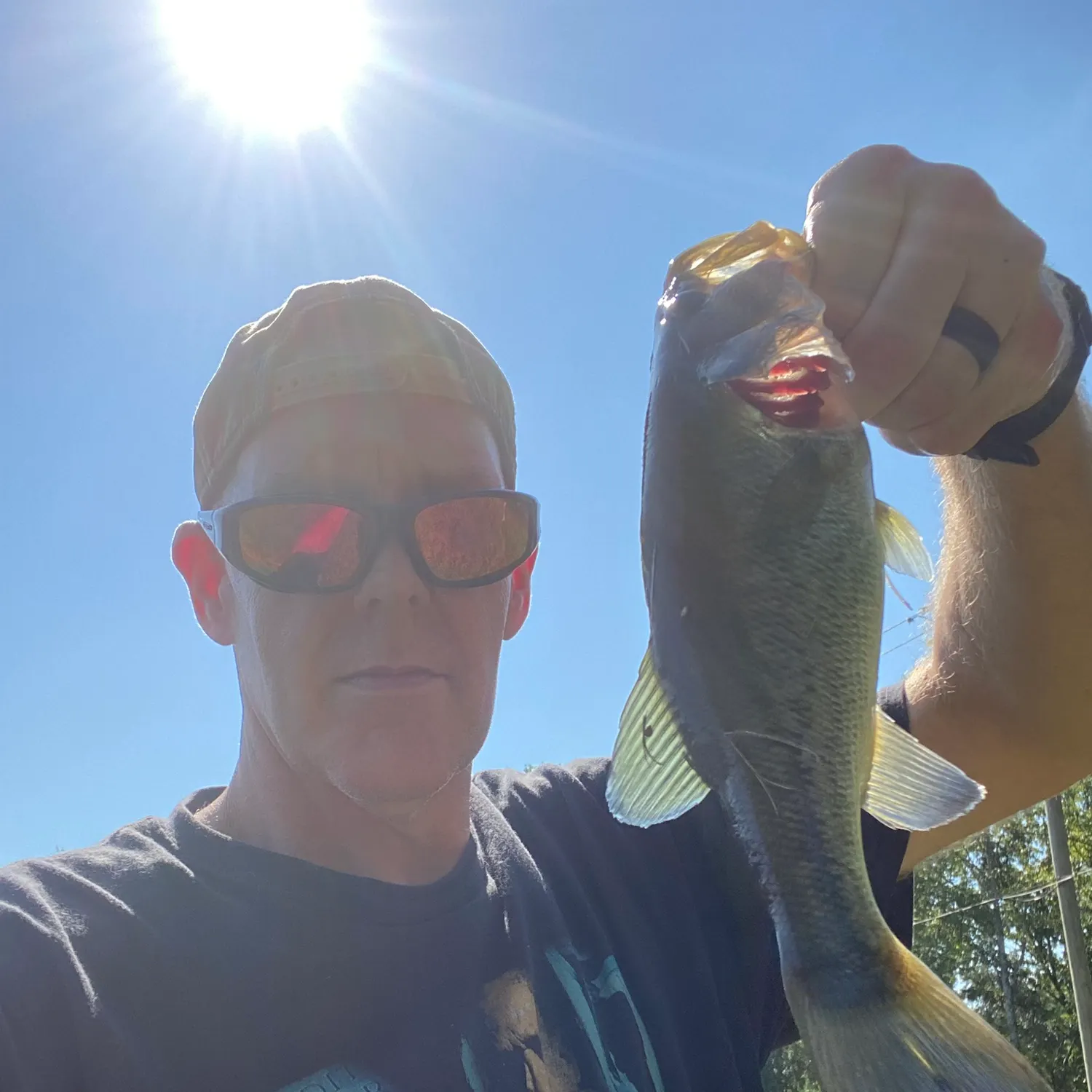 Largemouth bass caught on Fishbrain