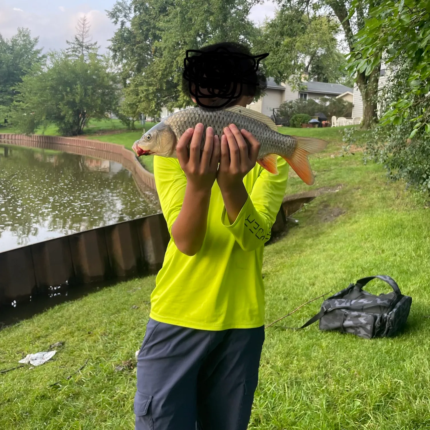 Common carp caught on Fishbrain
