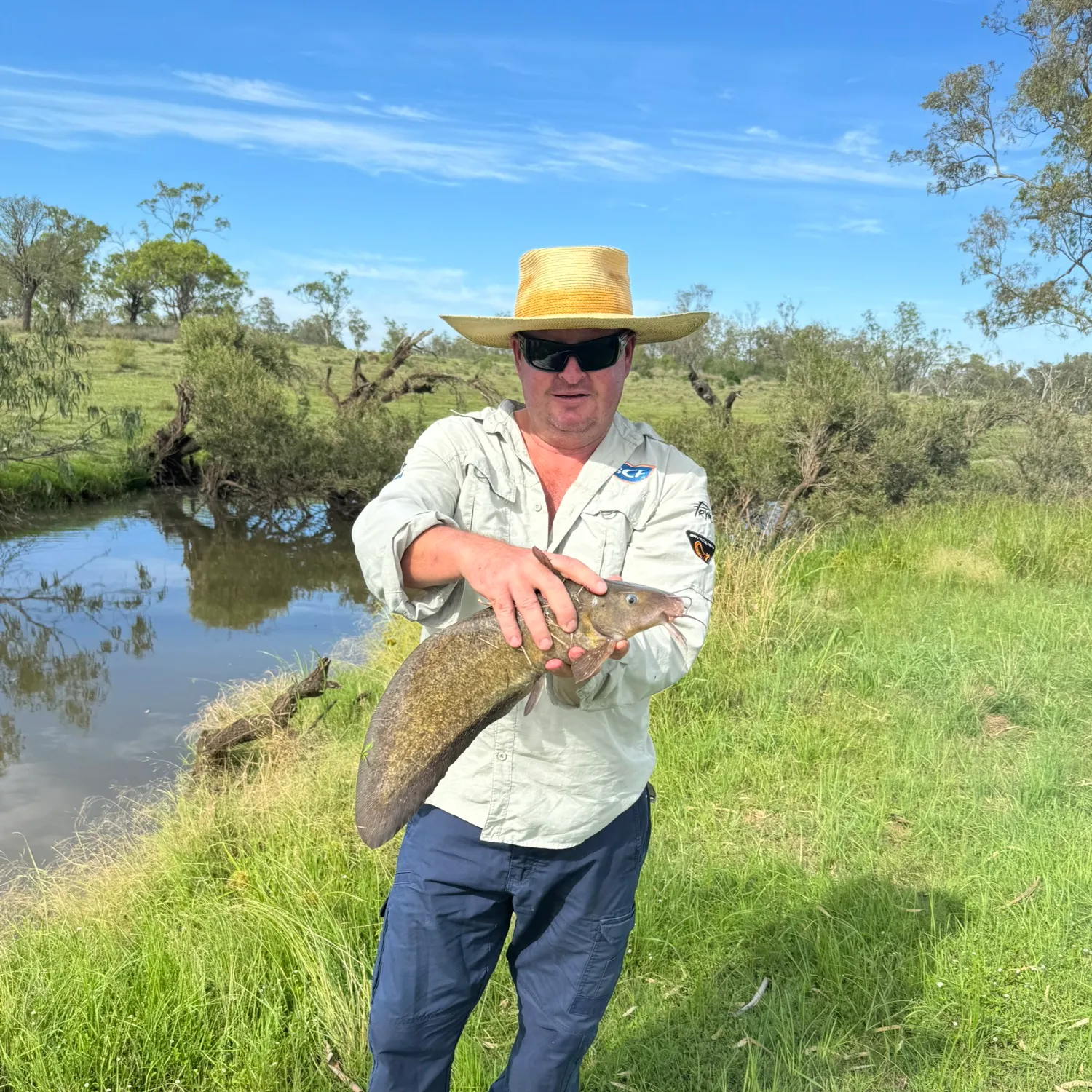 The most recent Dewfish catches on Fishbrain