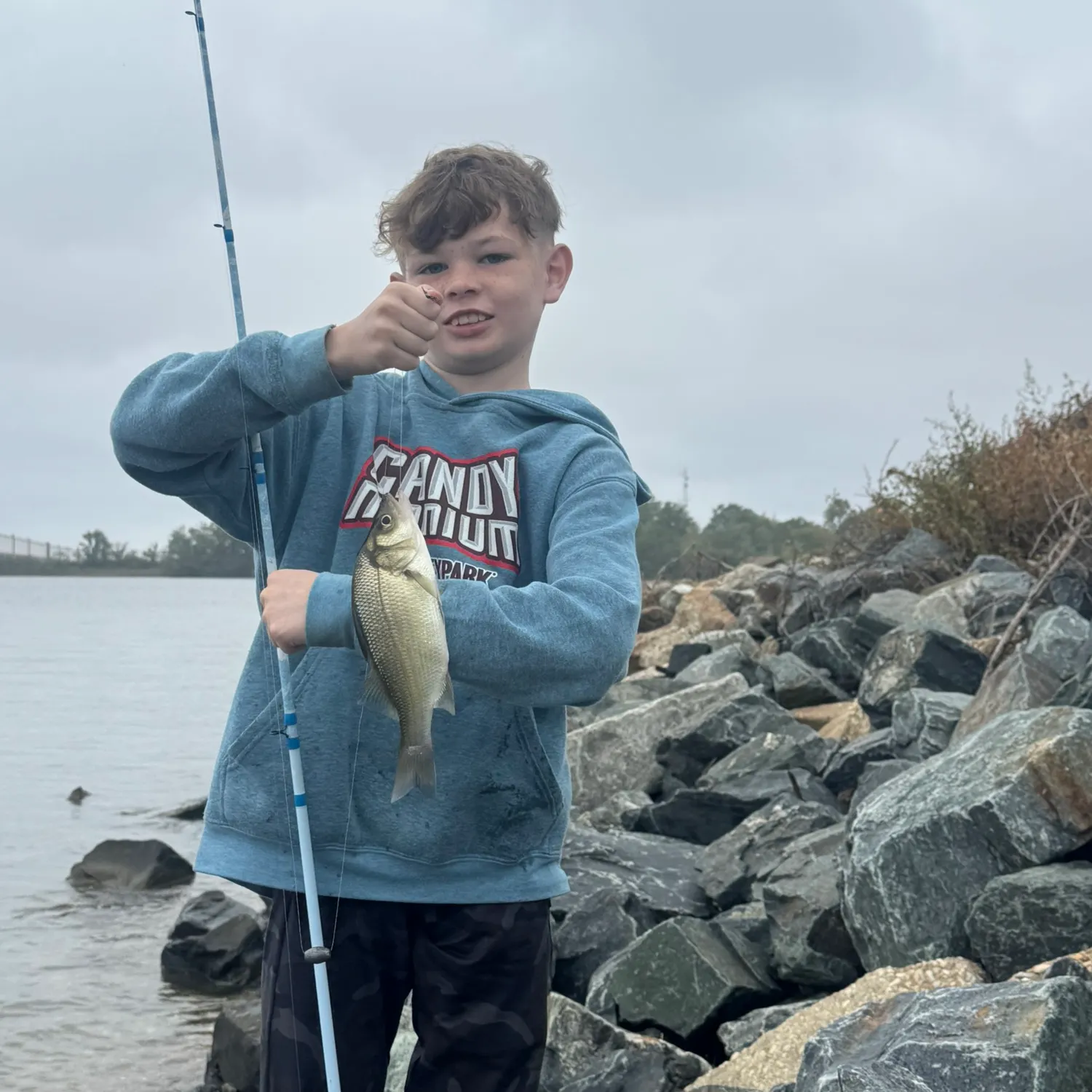 White perch caught on Fishbrain