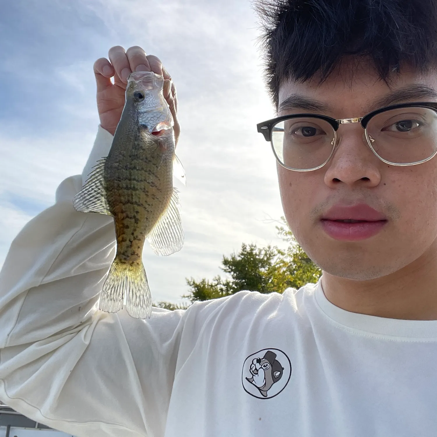 White crappie caught on Fishbrain