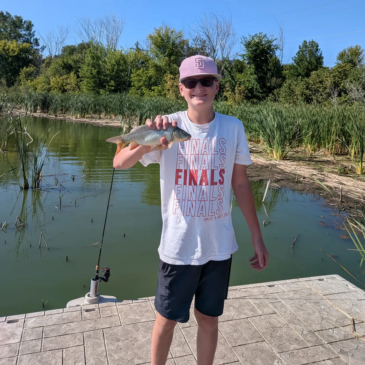 Common carp caught on Fishbrain