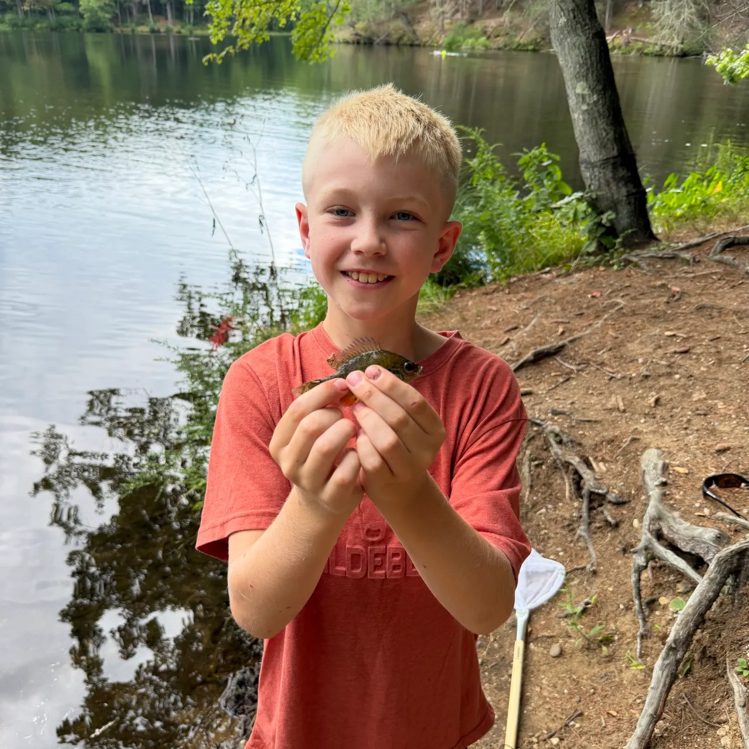 Bluegill caught on Fishbrain