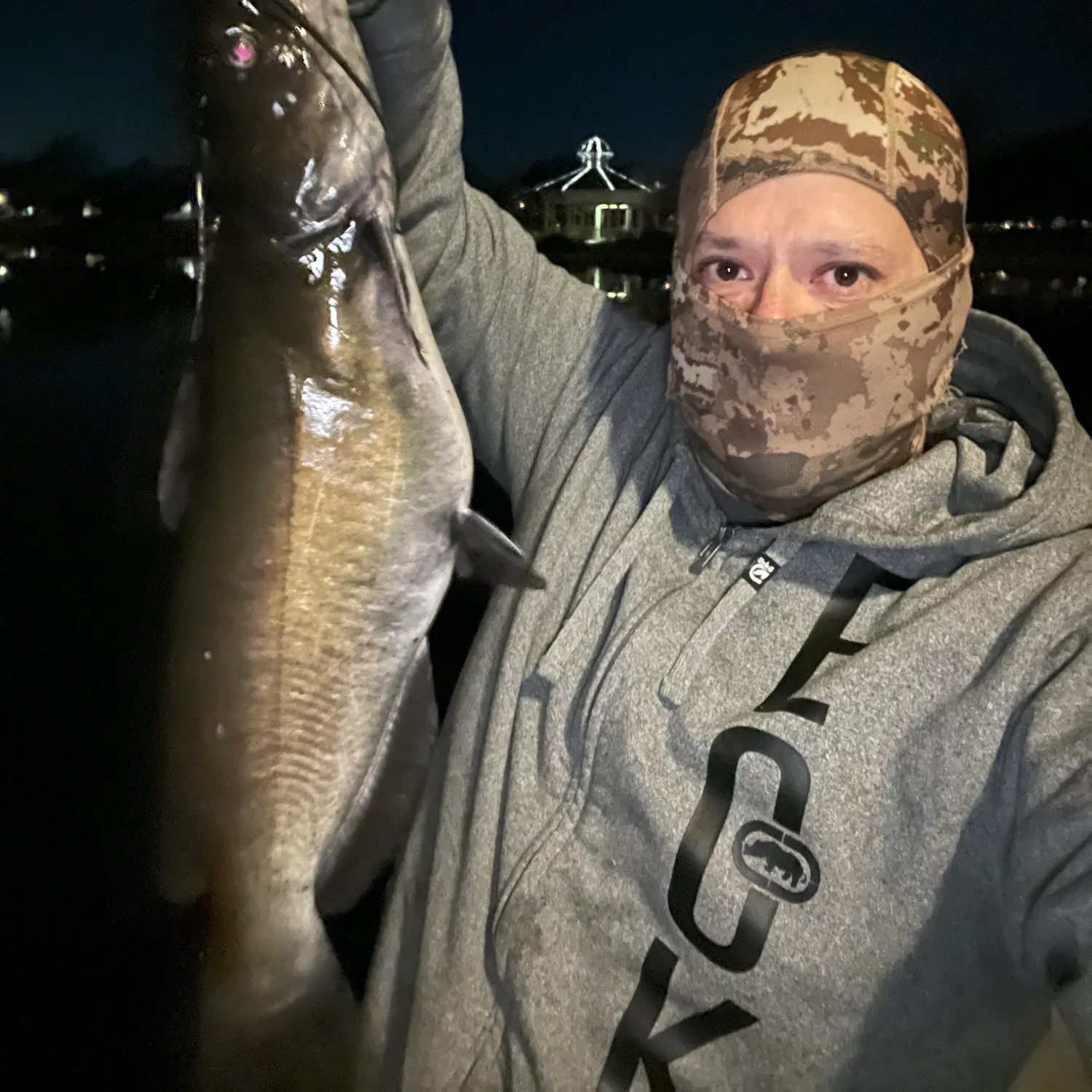Channel catfish caught on Fishbrain